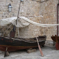Barci vechi
