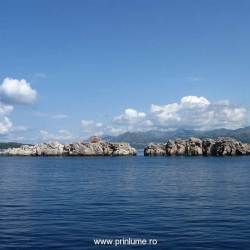 Stanci