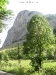 Cheile Valisoara