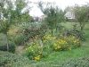Unirii - in parc