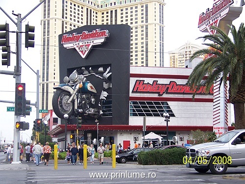 las vegas (8)